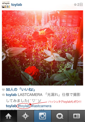 Instagram toylab LASTCAMERA  写真 写真店 ラボ トイラボ 現像